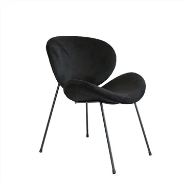Metallramme Spisestuestol Uphoplstered Leisure Chair Accent Chair