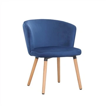 Velvet Accent Chair Leisure Side Chair